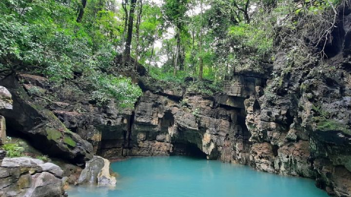 ¿Sabías que Veracruz tiene un cenote? Te decimos dónde está