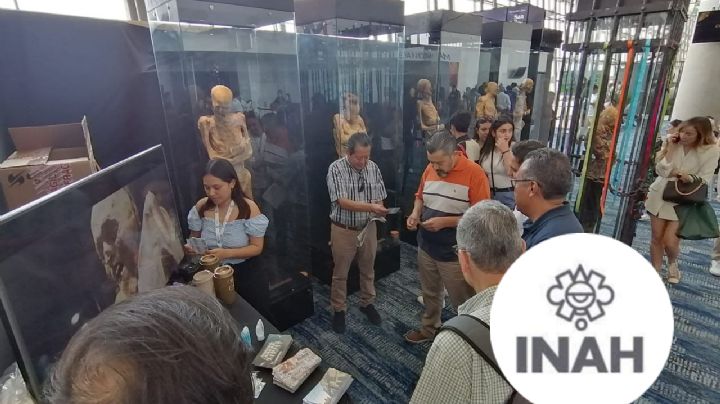 Detectan hongos en momias de Guanajuato; posible riesgo para la salud del público