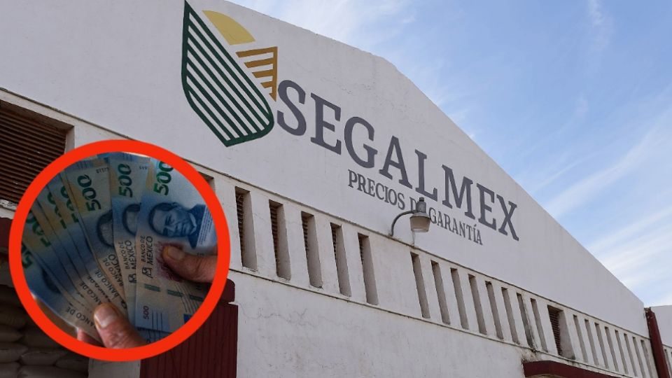 Así operó corrupción en Segalmex, donde desviaron miles de millones de pesos