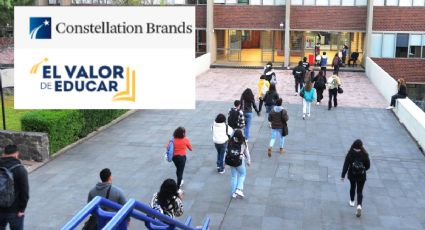 Becas Constellation Brands para prepa y universidad en Veracruz. Aquí las bases