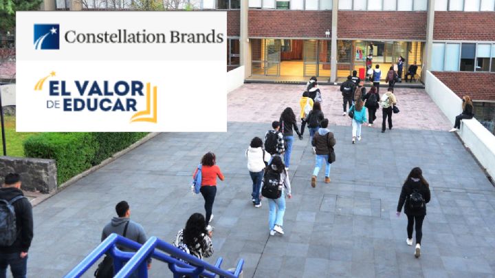 Becas Constellation Brands para prepa y universidad en Veracruz. Aquí las bases