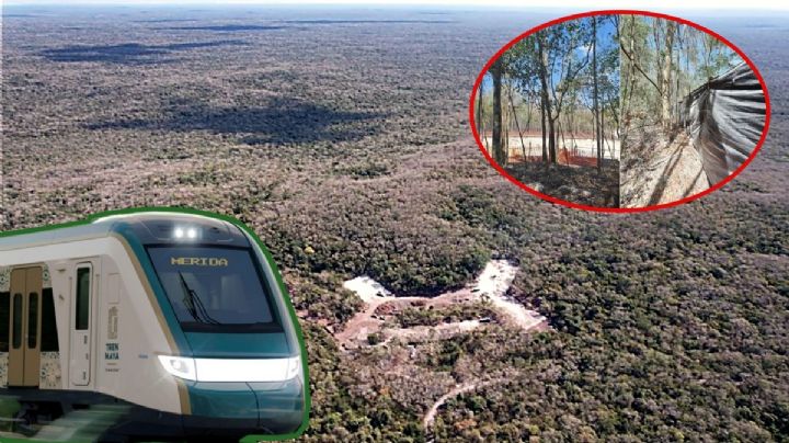 Tren Maya: El empresario cuate de AMLO detrás del hotel de la Sedena