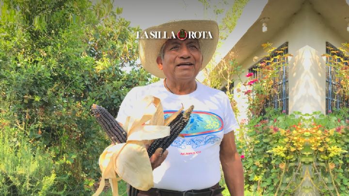 Maíz nativo, la reconciliación con las raíces indígenas