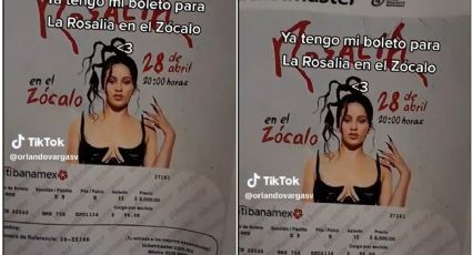 Video TikTok: Usuario muestra boleto para el concierto de Rosalía, ¿ya tienes el tuyo?