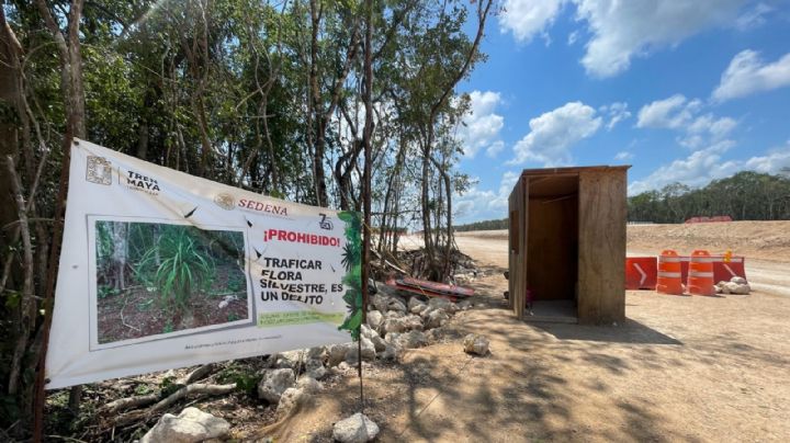 ¿La oposición es cómplice del Tren Maya?