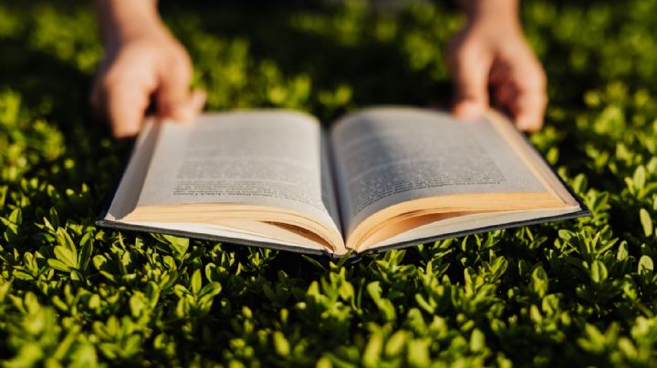 ¡Feliz día del libro!