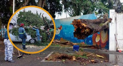 Lluvia y viento: Estas fueron las afectaciones en Córdoba tras tormenta