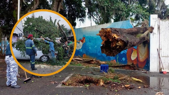 Lluvia y viento: Estas fueron las afectaciones en Córdoba tras tormenta