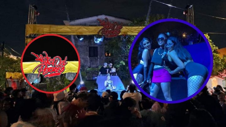 La Ruta del Perreo: espacio para artistas jarochos en colonias de Veracruz