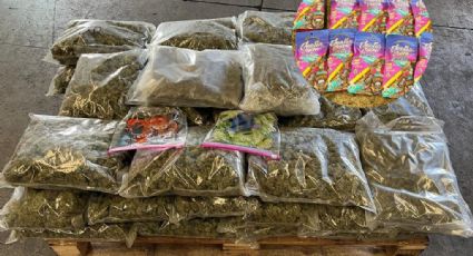 Caja "sospechosa" contenía 24 kilos de marihuana