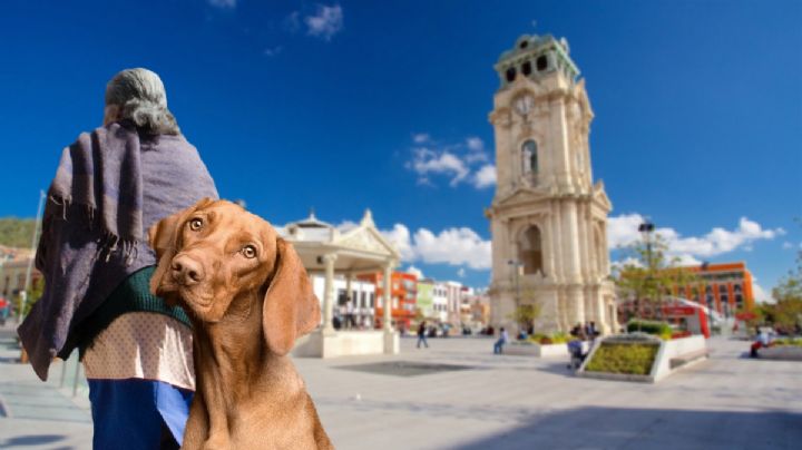 Abuelita usa su ejército de lomitos para espantar a patinadores en el Reloj | VIDEO