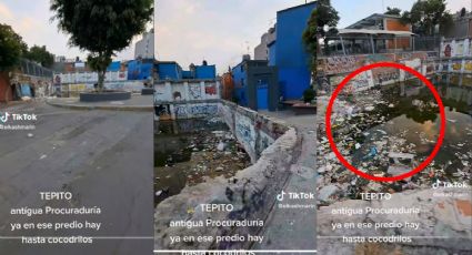 VIDEO TIKTOK: ¿cocodrilos en Tepito?