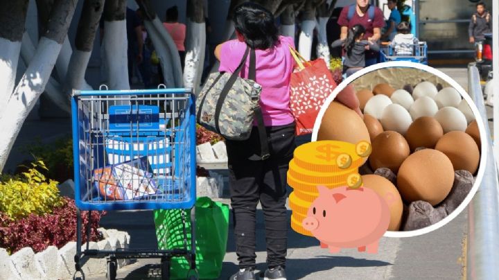 Este súper en Veracruz es el más barato del país para hacer despensa