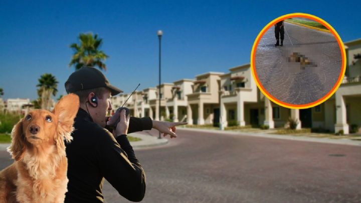 Vigilante estrangula y mata a un perro en privada de Pachuca