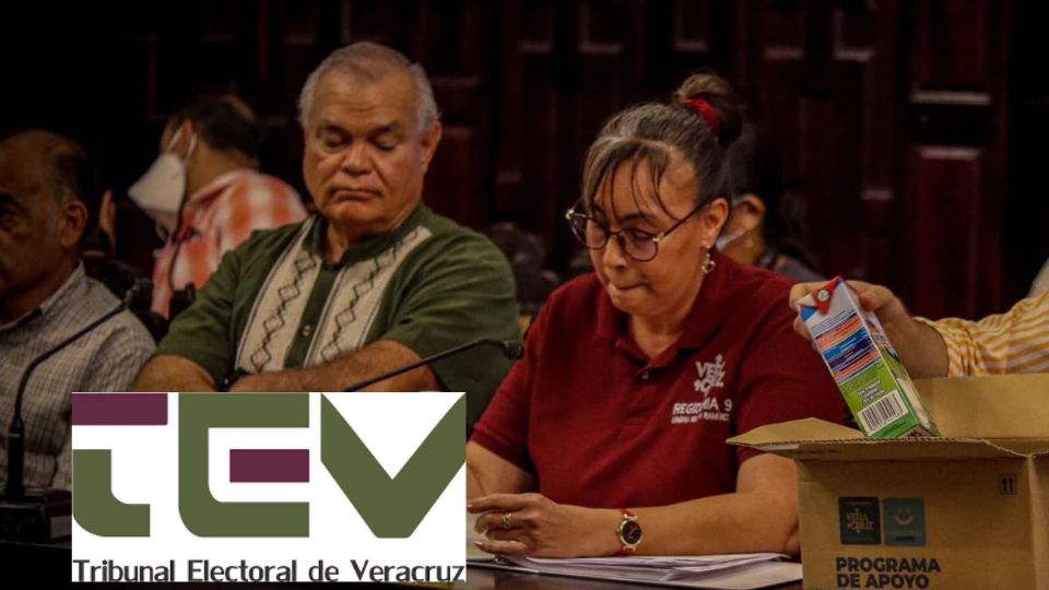 Fue inscrita en el Registro Nacional de Personas Sancionadas por Violencia Política contra las mujeres en Razón de Género.