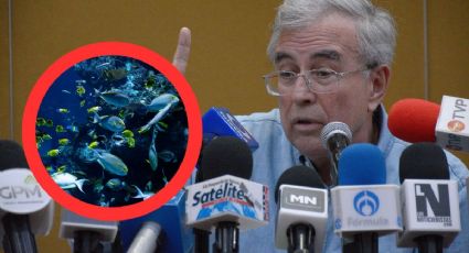"Frivolidad del diablo": truena gobernador de Sinaloa por fiesta en acuario