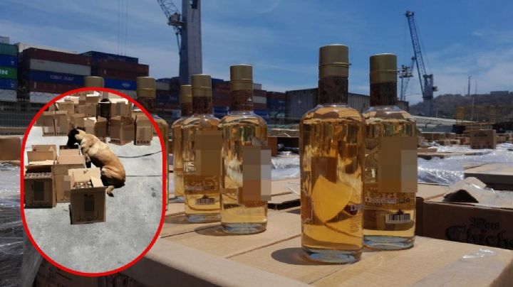 Esconden 8,600 kilos de metanfetamina en botellas de tequila; querían exportarla