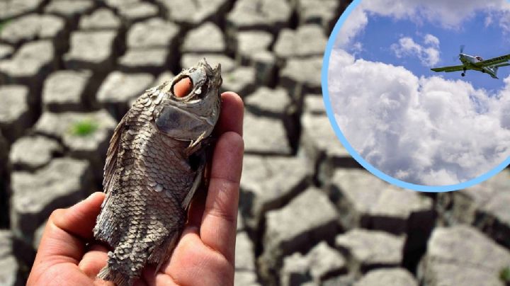 Bombardear nubes como la CDMX, posibilidad para mitigar sequía en Hidalgo: Menchaca