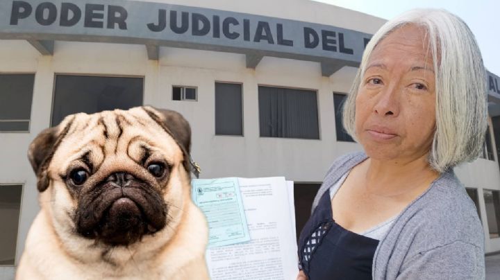 Perritos embargados ameritan cuidados especiales, dueñas temen por su salud