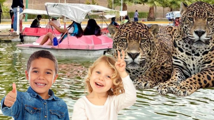 Bioparque Tekuayan: Un lugar a 45. minutos de Pachuca para disfrutar el fin de semana