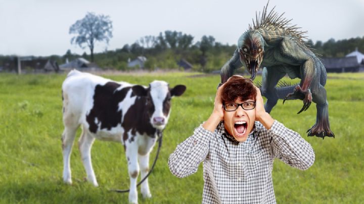 Chupasangres atacan ganado del Valle del Mezquital; esto ha pasado