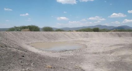 Desarrollo rural apoyará a los ganaderos con 22 bordos para captar agua