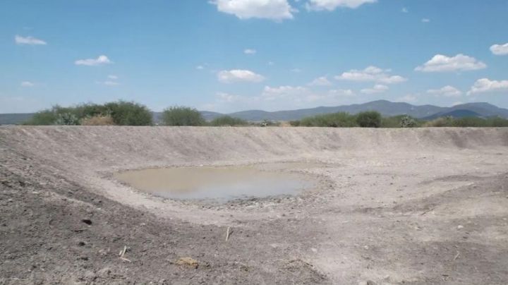 Desarrollo rural apoyará a los ganaderos con 22 bordos para captar agua