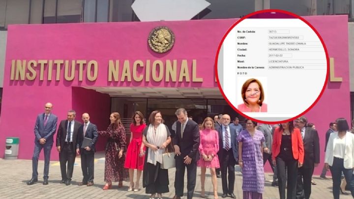 La polémica detrás de la cédula profesional de Guadalupe Taddei, la nueva consejera del INE