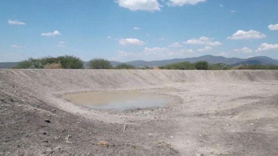 El municipio de León contempla la creación de bordes para  que en tiempos de lluvias se almacene el agua y así apoyar al sector ganadero