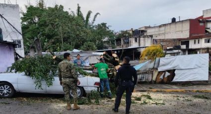 Por tormenta eléctrica Ayuntamienro de Córdoba atiende 30 afectaciones