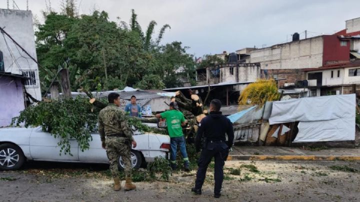 Por tormenta eléctrica Ayuntamienro de Córdoba atiende 30 afectaciones