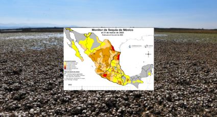 Sequía pega a estos 88 municipios de Veracruz