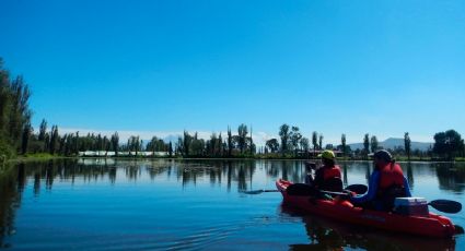 Kayak en Xochimilco y el amanecer: una aventura desconocida en CDMX