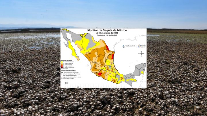 Sequía pega a estos 88 municipios de Veracruz