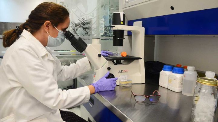 Cofepris da aval a la UNAM para validar vacunas y medicinas biotecnológicas