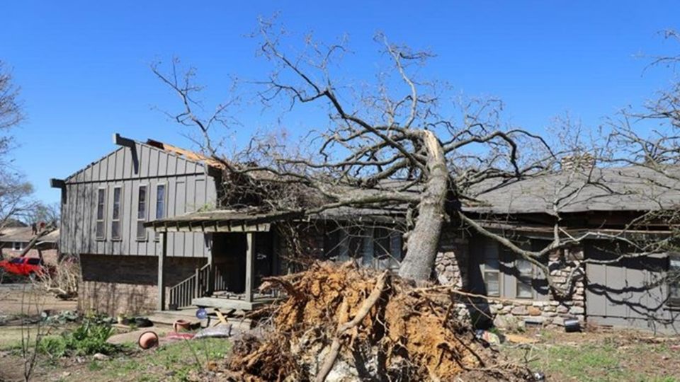 Los estados más afectados por la tormenta son:  Tennessee, Arkansas, Indiana e Illinois