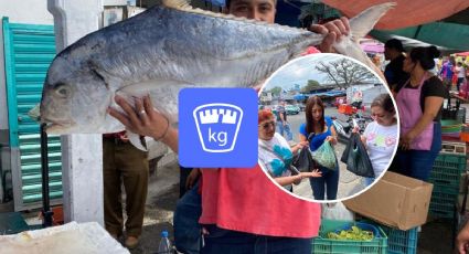Dan kilos “chiquitos”: alertan por altos precios de mariscos en Xalapa