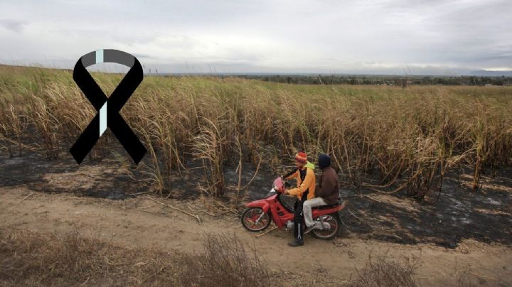 Jesús Santiago, taxista asesinado en Yanga, Veracruz. Esto se sabe