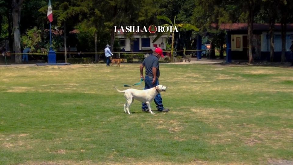 'Cuidar a un perro es la mejor sanción que me han puesto'