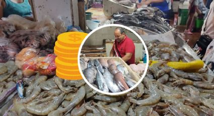 Semana Santa alivia bolsillos de pescaderías al sur de Veracruz