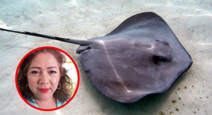 ¿Quién es la funcionaria que mandó mutilar a mantarrayas?