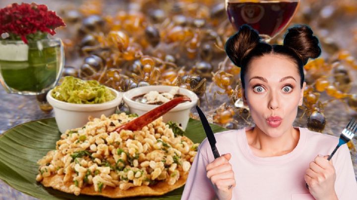 Escamoles: el caviar mexicano que se produce en Hidalgo