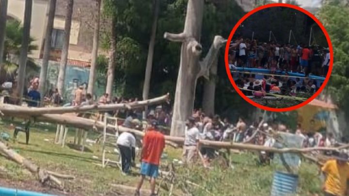 Cae árbol en balneario de Comanjilla; muere menor aplastado