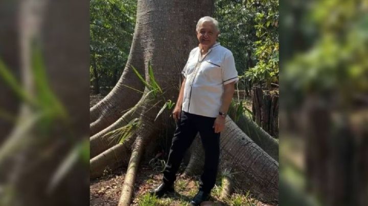 ¿El fin de las mañaneras en Palacio Nacional? Esto dice López Obrador