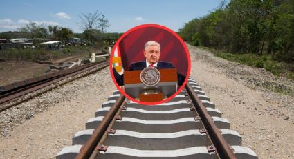 Tren Maya: nuevo decretazo de AMLO para expropiar 119 hectáreas en QRoo