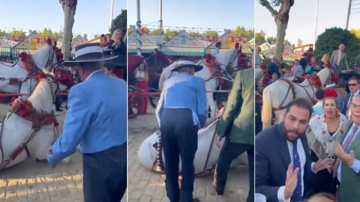 VIDEO | Maltrato animal: caballo exhausto cae y 2 sujetos lo patean