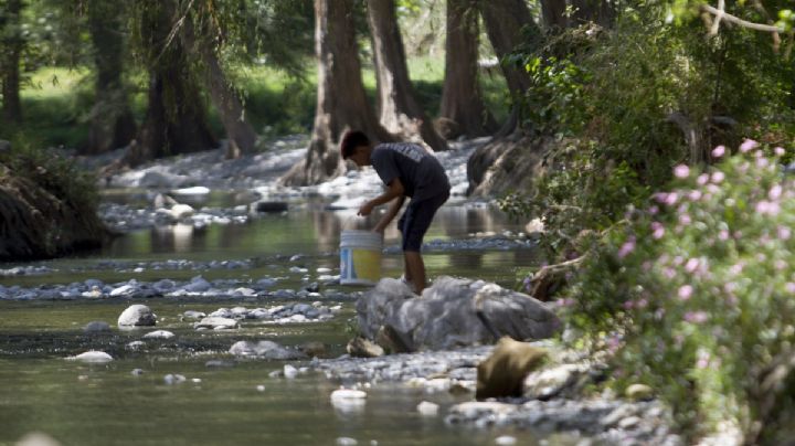 Alertan por estos 37 municipios de Veracruz que presentan sequía