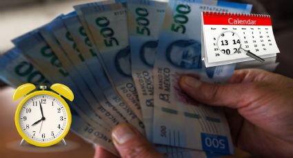 ¿Sin dinero? En esta FECHA te deben de PAGAR la prima vacacional 2023