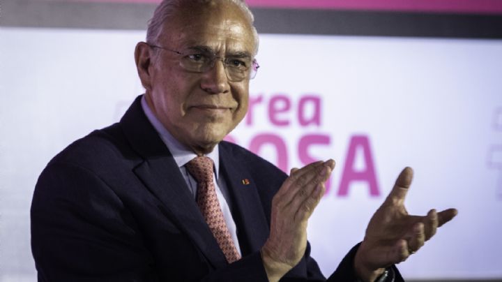 José Ángel Gurría: ¿El exfuncionario zedillista sueña con la candidatura presidencial del PRI?