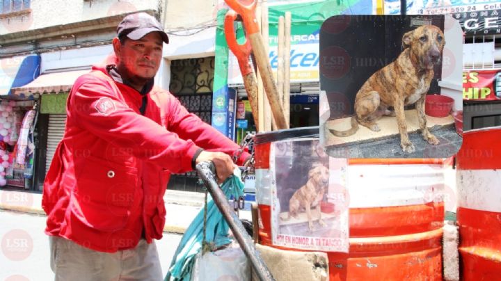 “Tango”, el perrito barrendero de Pachuca que se deprimió hasta la muerte